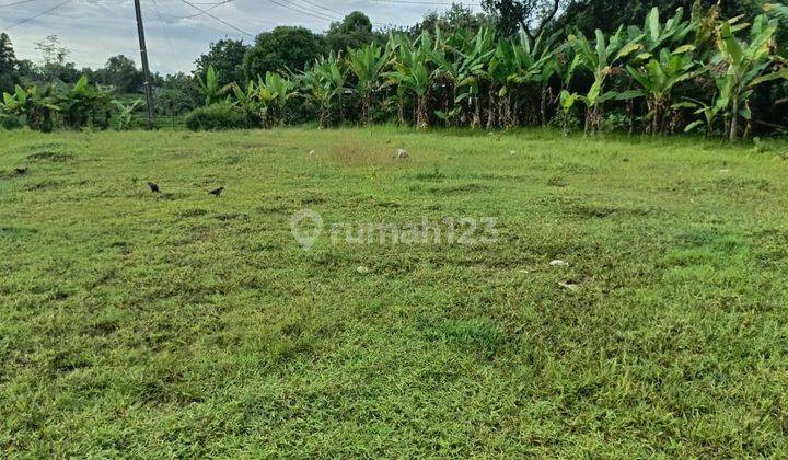 500 Rb-an Kavling SHM Area Cibarusah. View Sawah & Bukit 1
