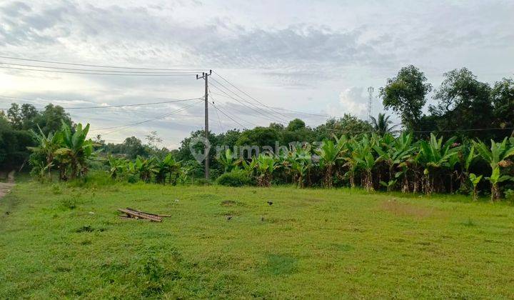 500 Rb-an Kavling SHM Area Cibarusah. View Sawah & Bukit 2