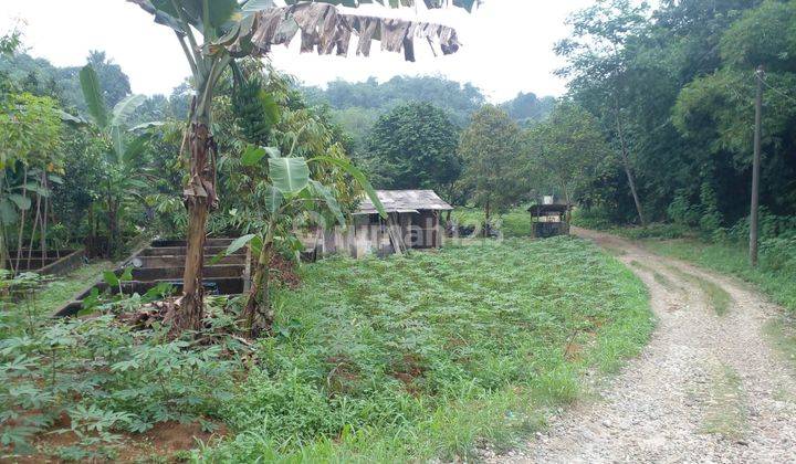 Kavling Cluster Dekat Rs Karya Bhakti Pratiwi SHM Per Unit  1