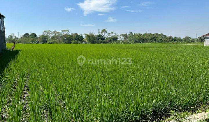 Dijual Tanah Sawah Lokasi Margaasih Akses Truk Besar 1