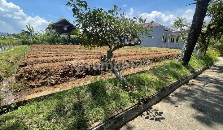 Murah Tanah Kavling Perumahan Graha Puspa