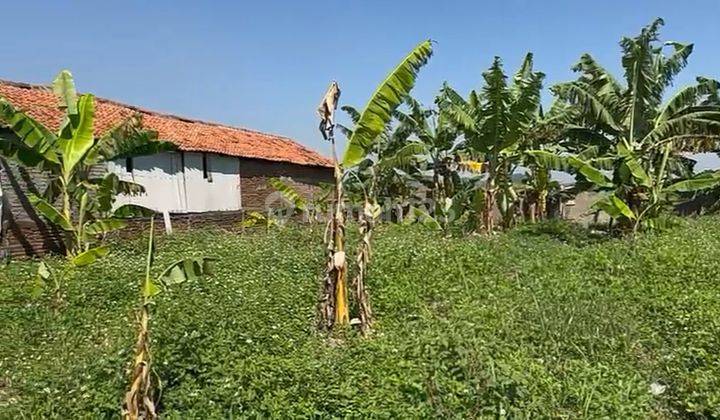 Tanah Lokasi Margaasih Cocok Untuk Gudang 1