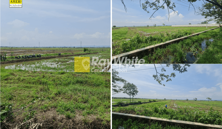 Tanah Kosong Cocok Untuk Pabrik Gudang di Rawaurip, Cirebon 1