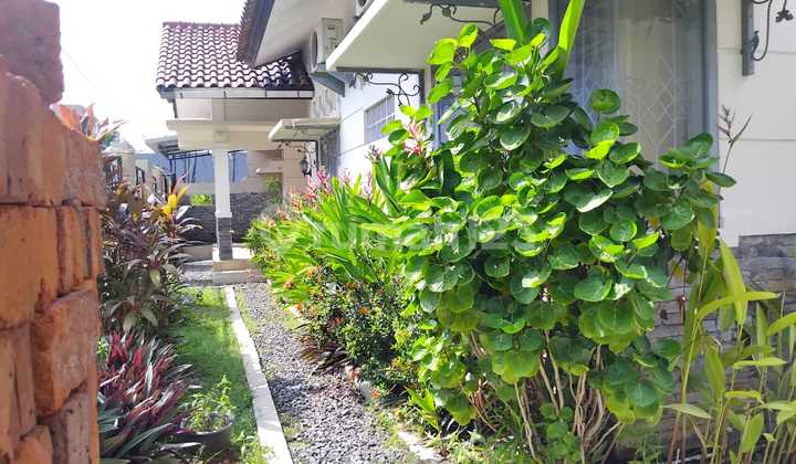 Rumah Luas 1 Lantai Bagus Lokasi Pusat Kota Cirebon 2