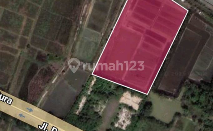 Dijual Tanah Luas Di Daerah Pangenan Cirebon Timur 1