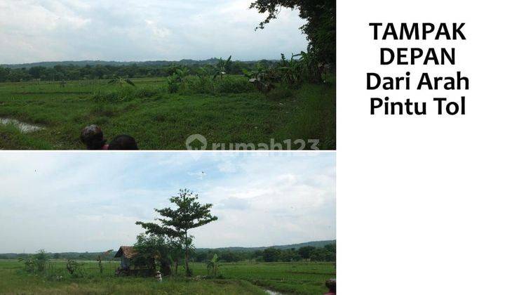 Dijual Kavling Murah  4.5 Ha Di Ciperna Cirebon 2