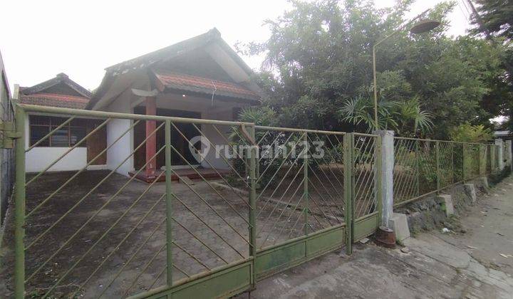 Tanah Luas Bonus Rumah Lokasi Strategis Condong Catur Sleman 1