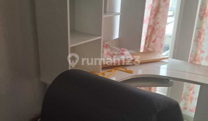 Green Semanggi Mangrove 2