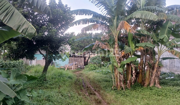 Banting Harga Murah Tanah Perkebunan di Mustika Jaya. Kota Bekasi Banting Harga Murah Tanah Perkebunan di Mustika Jaya. Kota Bekasi