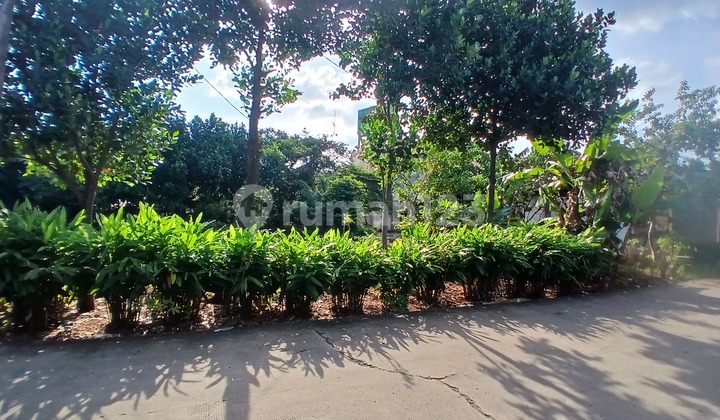 Lahan Kebun Kosong Harga Sangat Murah di Mustikajaya. Bekasi Lahan Kebun Kosong Harga Sangat Murah di Mustikajaya. Bekasi