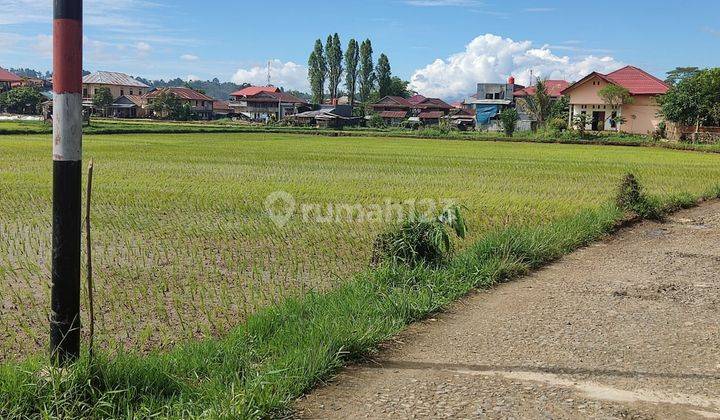 Dijual Sawah Lokasi Strategis Daerah Mentirotiku Tana Toraja Utara 1