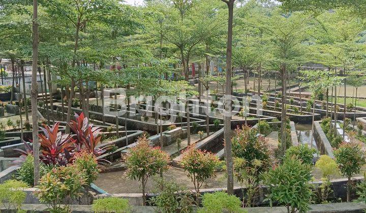 Tanah Tematik + Bangunan, Cocok untuk Garden Resto & Wisata 2