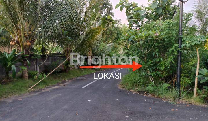 Land ,  jl. Pantai Balangan luas 10 Are, posisi tanah di Hook. Sangat Bagus 1