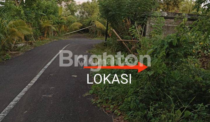 Land ,  jl. Pantai Balangan luas 10 Are, posisi tanah di Hook. Sangat Bagus 2