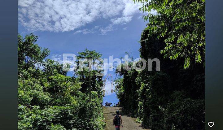 Villa Sejuk Dan Nyaman Di Tanah Lot Tidak Jauh Dari Pantai Kedungu Dan Pantai Yeh Gangga 1