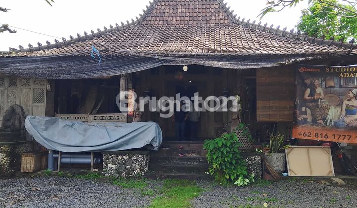 RUMAH JOGLO NYAMAN DAN MURAH DI SANUR 1