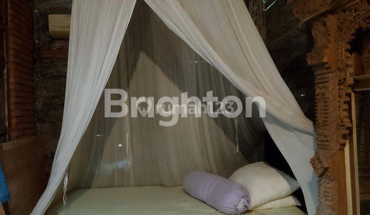 RUMAH JOGLO NYAMAN DAN MURAH DI SANUR 2
