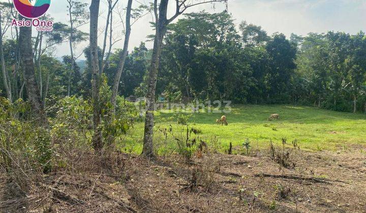 Dijual Cepat Tanah Dengan Struktur Rata Di daerah Strategis  2