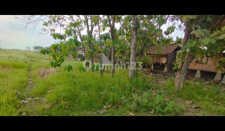 Tanah Luas 13.000 M² Di Daerah Ciledug Cirebon di Pabedilan 1