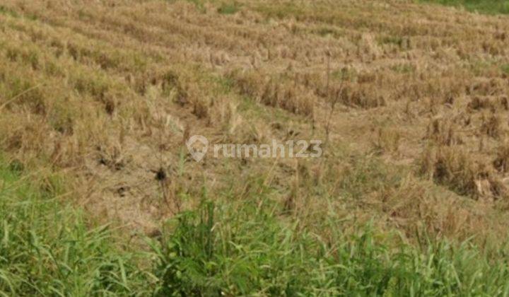 Dijual Tanah Di Jalan Kanci Astanajapura Dekat Tol Kanci Cirebon 1