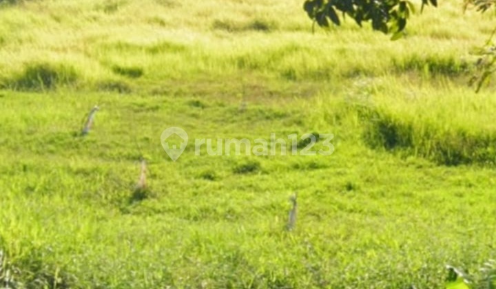 Dijual Tanah Industri Di Daerah Pabedilan Ciledug, Cirebon 2