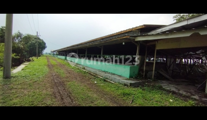 Warehouse Area For Sale In Sumberjaya Majalengka Area