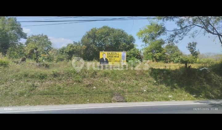 Disewakan dan Dijual Tanah Bagus di Daerah Kuliner Gronggong Ciperna Cirebon Disewakan dan Dijual Tanah Bagus di Daerah Kuliner Gronggong Ciperna Cirebon