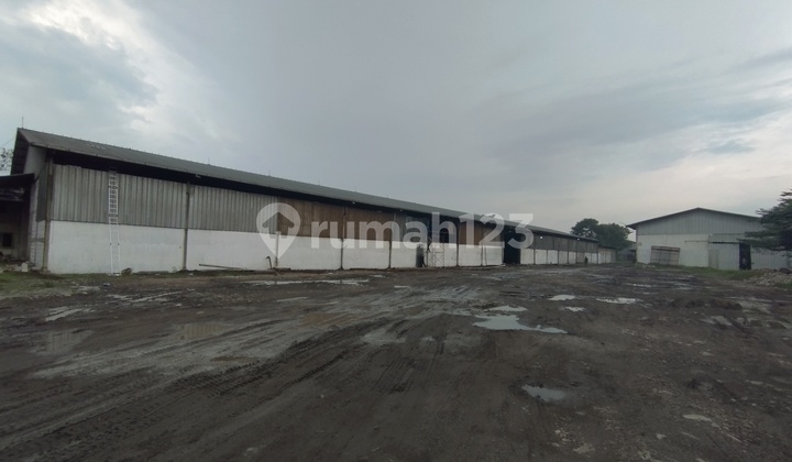 Disewakan Gudang Di Daerah Kanci Mundu Cirebon  2