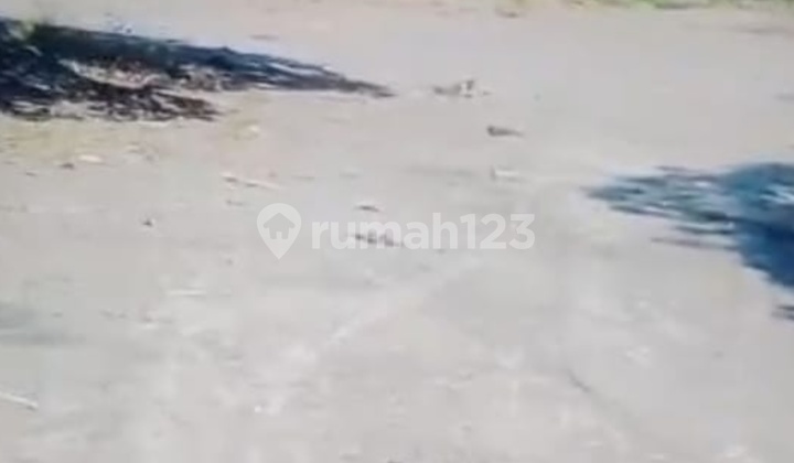 Disewakan Dan Dijual Tanah Padat Di Arjawinangun Cirebon Disewakan Dan Dijual Tanah Padat Di Arjawinangun Cirebon