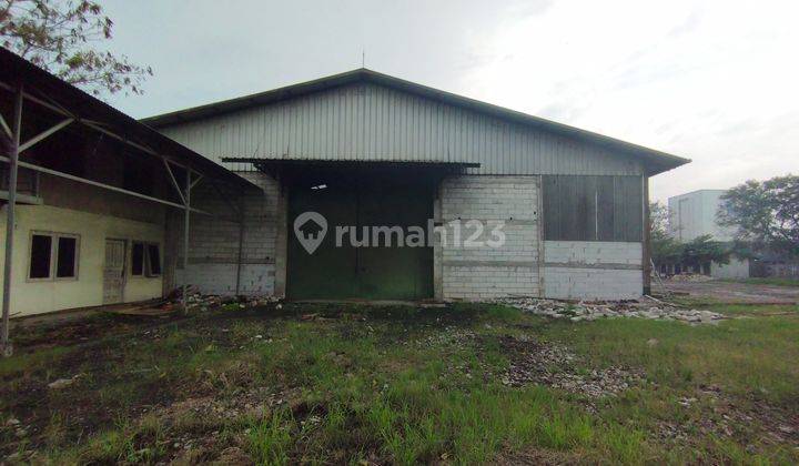 Disewakan Gudang Di Daerah Kanci Mundu Cirebon  1