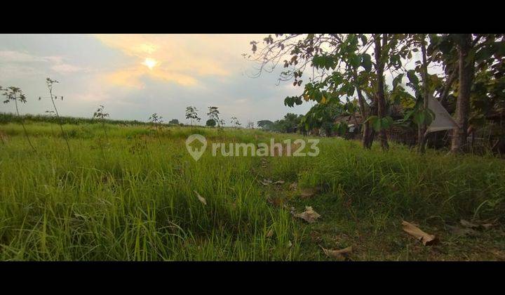 Tanah Luas 13.000 M² Di Daerah Ciledug Cirebon di Pabedilan 2