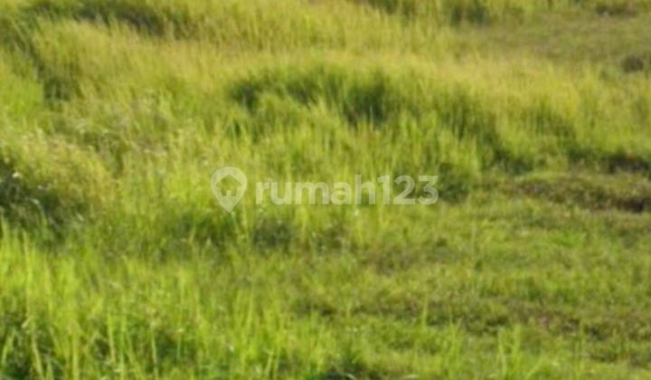 Land for Sale in Pabedilan Industrial Area, Ciledug, Cirebon