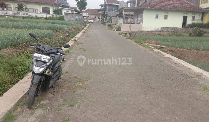 TANAH SAWAH SUBUR HARGA ISTIMEWA DI JUNREJO KORA BATU. 2