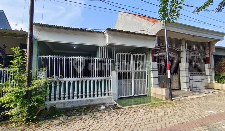 Rumah Bagus Murah Siap Huni Strategis Gunungsari Surabaya Rumah Bagus Murah Siap Huni Strategis Gunungsari Surabaya