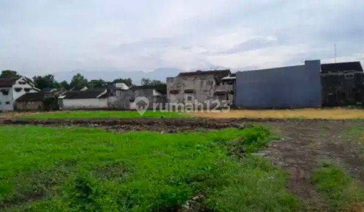 Tanah Luas Dan Murah Di Jl Gajah Mada Jember Strategis  2