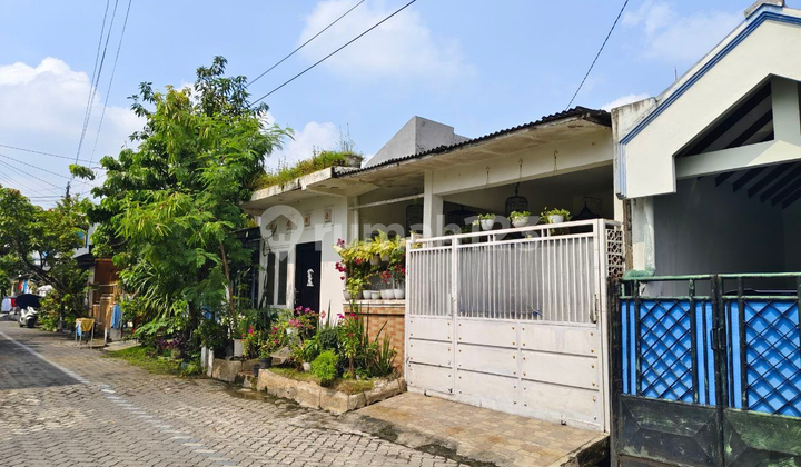 Rumah SHM 1 Lantai Bagus Terawat Wiyung, Surabaya Rumah SHM 1 Lantai Bagus Terawat Wiyung, Surabaya