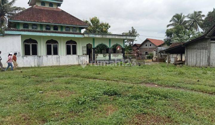 Tanah SHM Murah Samping Masjid Di Salaman, Magelang 1