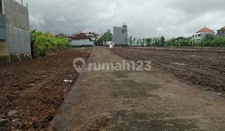 Land Plot Location Cekomaria | East Denpasar | Denpasar | Bali | Contact: 08234120xxxx