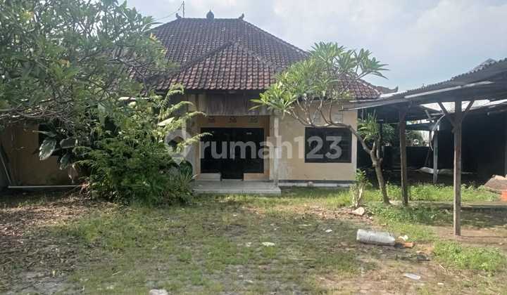 Rumah Halaman Luas | Rp 45Jt/Th | Sidakarya | Denpasar | Bali | Ctc : 0823xxxxxxxx