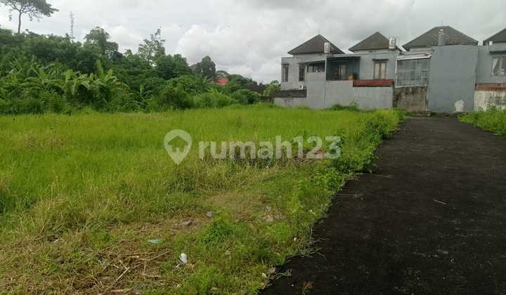 Tanah Strategis dengan Unit Terbatas Kawasan Sekar Jepun Denpasar Bali | Ctc : 0823xxxxxxxx Tanah Strategis dengan Unit Terbatas Kawasan Sekar Jepun Denpasar Bali | Ctc : 0823xxxxxxxx