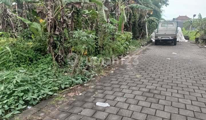 Strategic Land in Cekomaria Area | Denpasar | Bali | Contact: 08234120xxxx Strategic Land in Cekomaria Area | Denpasar | Bali | Contact: 08234120xxxx