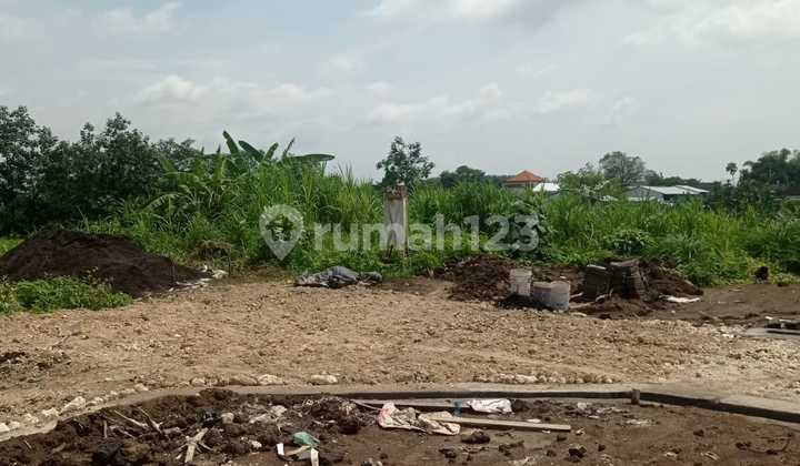 Tanah Kavling Sewa Kawasan Trenggana | Penatih | Denpasar | Bali | Ctc : 0823xxxxxxxx Tanah Kavling Sewa Kawasan Trenggana | Penatih | Denpasar | Bali | Ctc : 0823xxxxxxxx