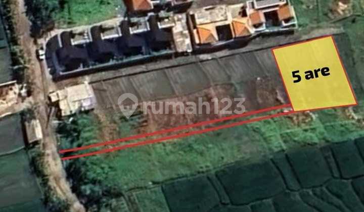 Tanah Menarik Lokasi Strategis Kawasan Seseh Canggu | Kuta | Bali | Ctc : 0823xxxxxxxx
