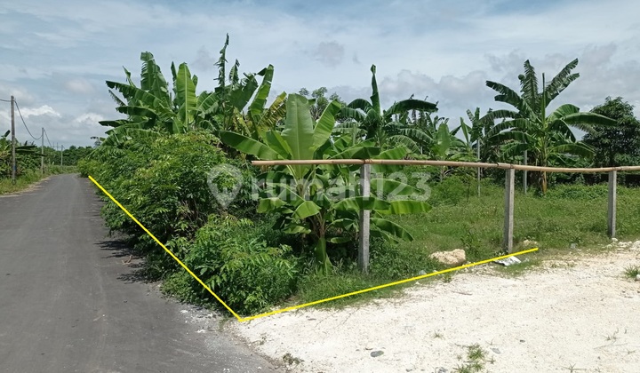 Tanaha strategis kawasan Padanggalak Sanur Denpasar | Ctc : 0823xxxxxxxx