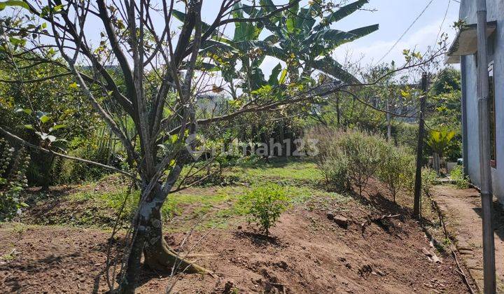 Rumah Plus Kebun Jeruk Segar Sejuk Untuk Healing Di Kota Batu 2