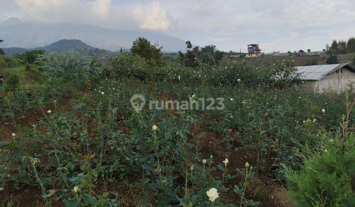 Tanah Asri Luas Dan Murah di Sumbergondo