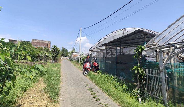 Tanah Murah Bagus Untuk Perkebunan Sayur Di Pandanrejo Batu  2