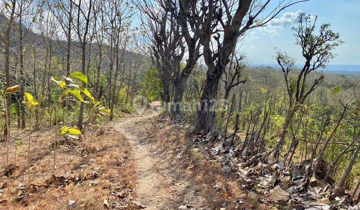 Tanah Kawasan Wisata Cocok Utk Vila Kantor Atau Perum Di Buleleng Bali 1