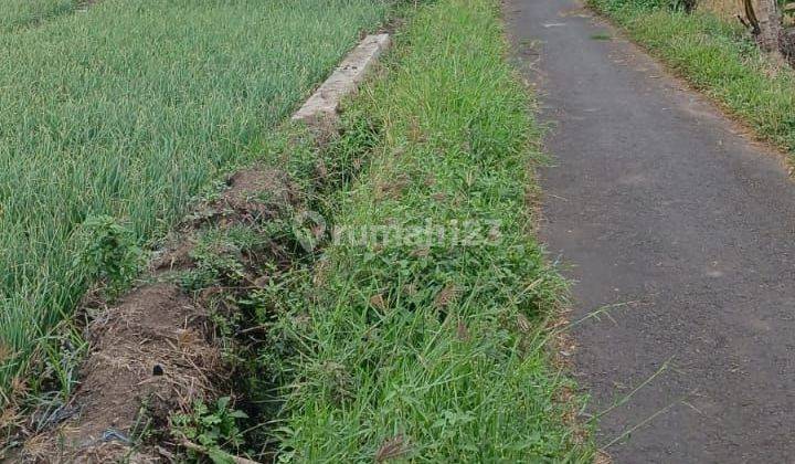 Tanah Murah Pinggir Jalan Subur Dan Strategis Di Pendem Junrejo Kota Batu  2