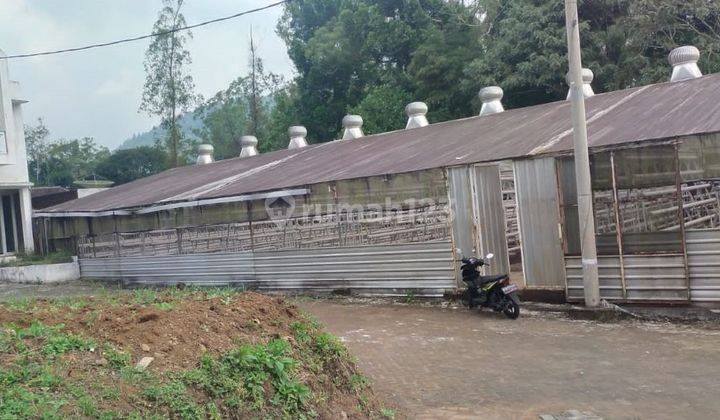 Grenhounse Luas Dan Besar Dekat Area Wisata Coban Rondo Malang 2